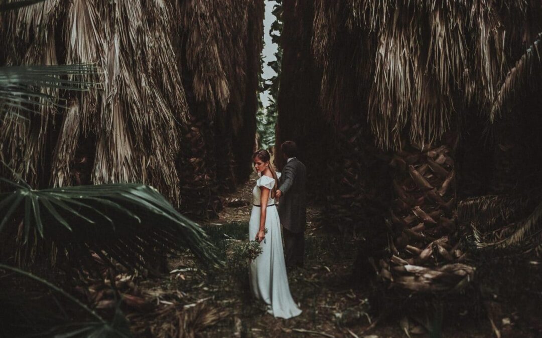 Día mundial de la fotografía