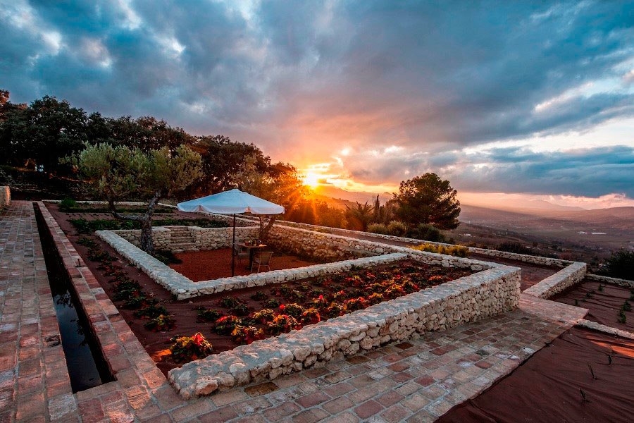 LA Organic Experience is a unique olive tourism project just 2,5 km from the historic center of Ronda