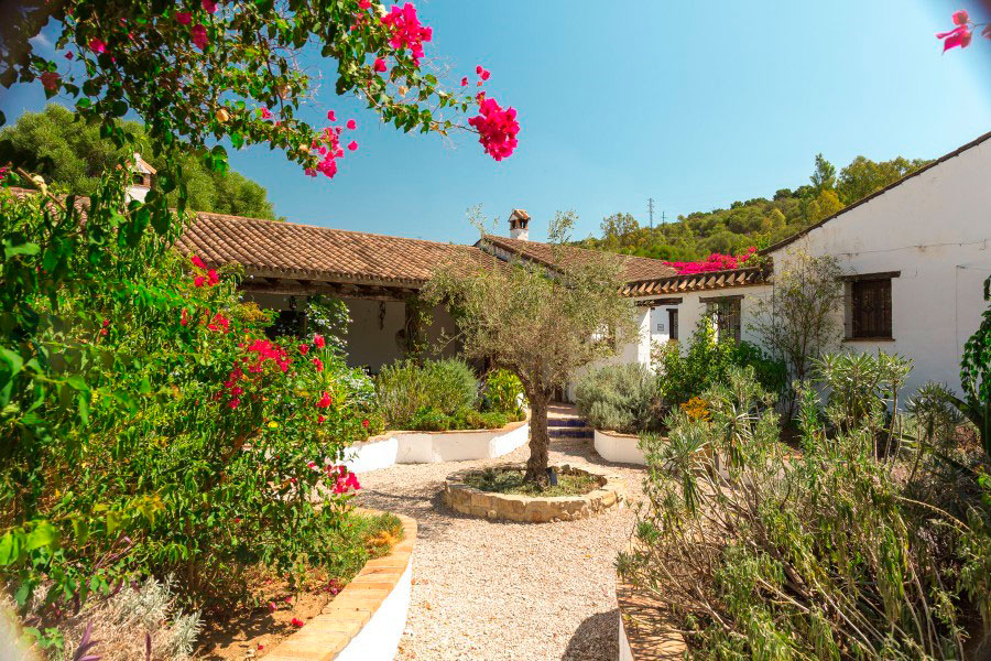 Cortijo Román is surrounded by a beautiful landscape with more than 700 catalogued plants species