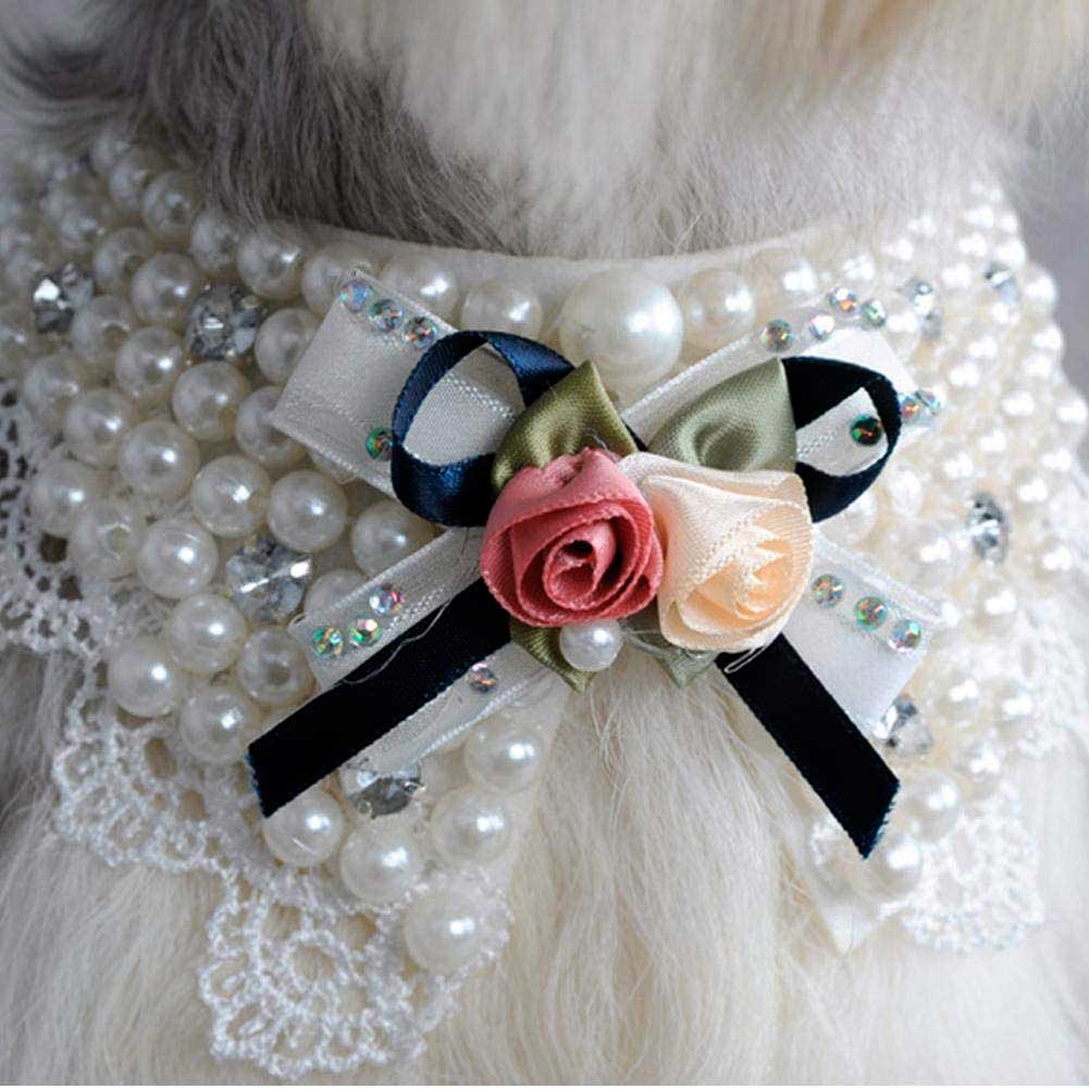 Wedding accessories dress dog female