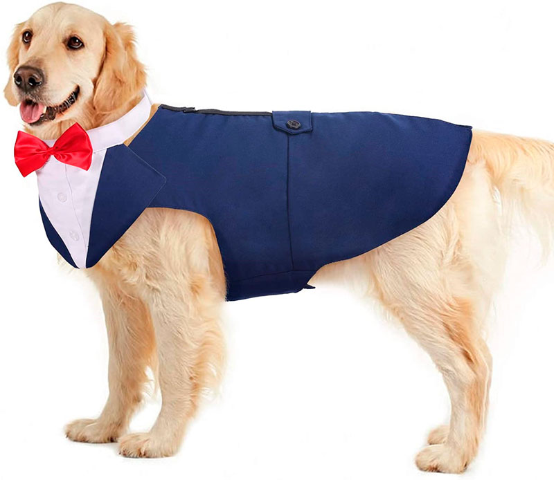 Wedding bow tie dog male