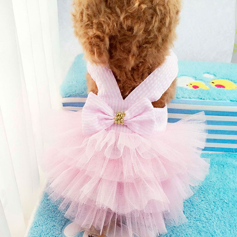Wedding dress bridesmaid dog female
