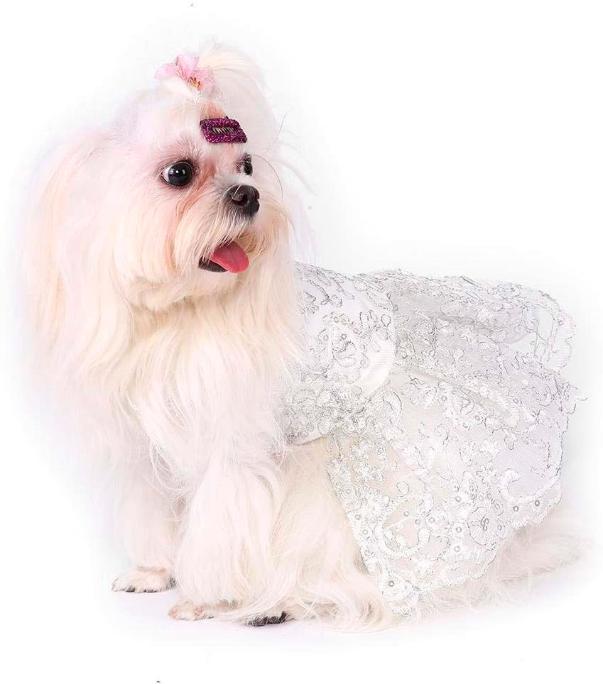 Wedding dress classic dog female