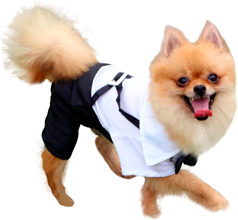 Wedding dress dog suspenders