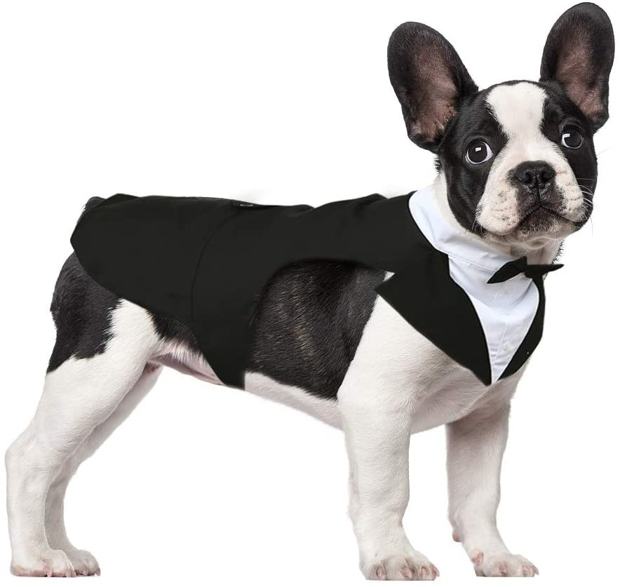 If it is a male dog
